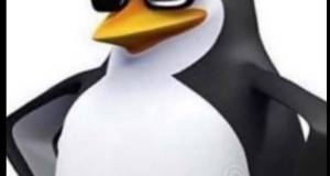 Pinguin wird von 5 männern in frankfurter  zoo vergewaltigt