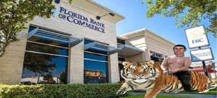 Florida man rub a bank riding a tiger