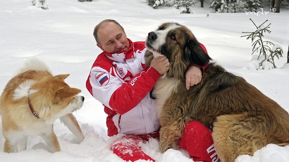 Putin isst seine Hunde - steht sein Ende bevor?