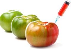 Food Security? - Only with Genetically modified Food!