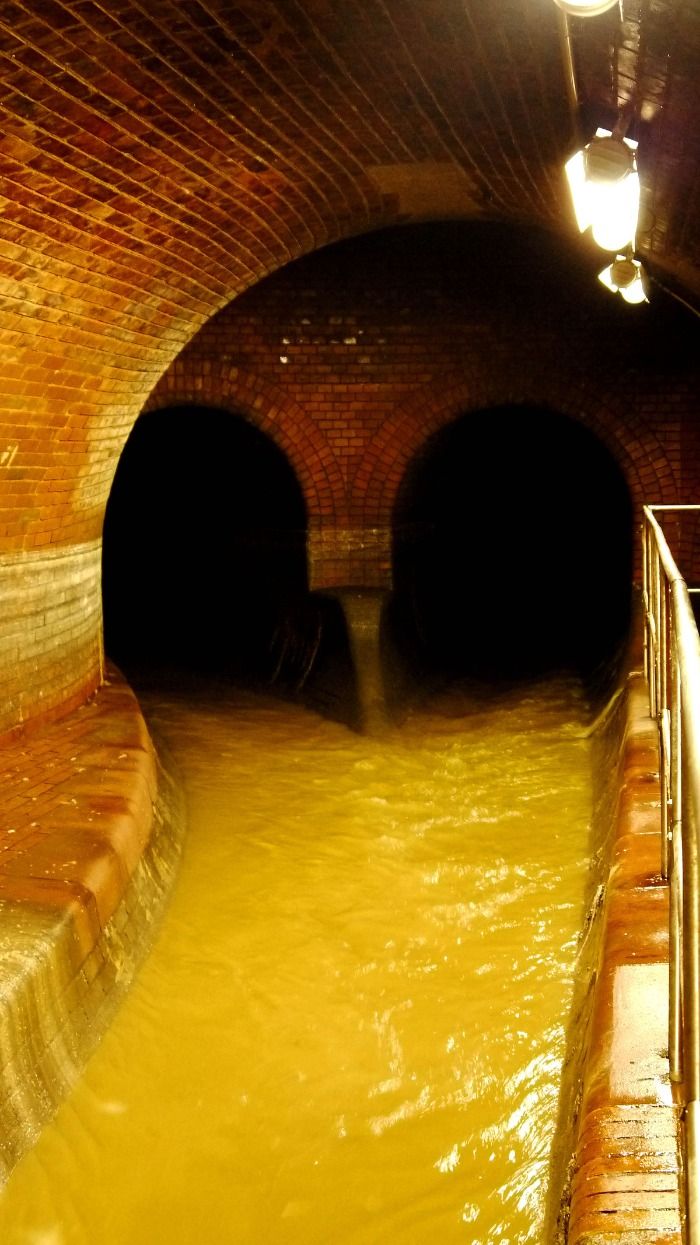 Abwasserkanal Ulm verstopft