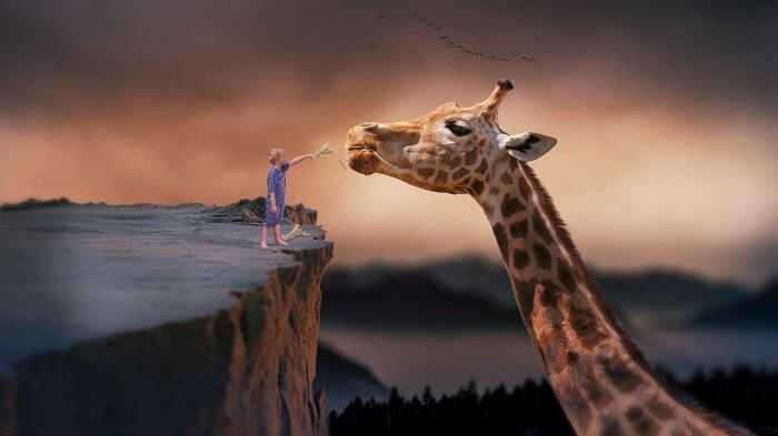 Aus dem Archiv (März 2011): Giraffe Tim wurde aus dem Braunschweiger Zoo entführt!